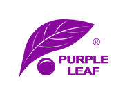 Purple Leaf Coupon Codes